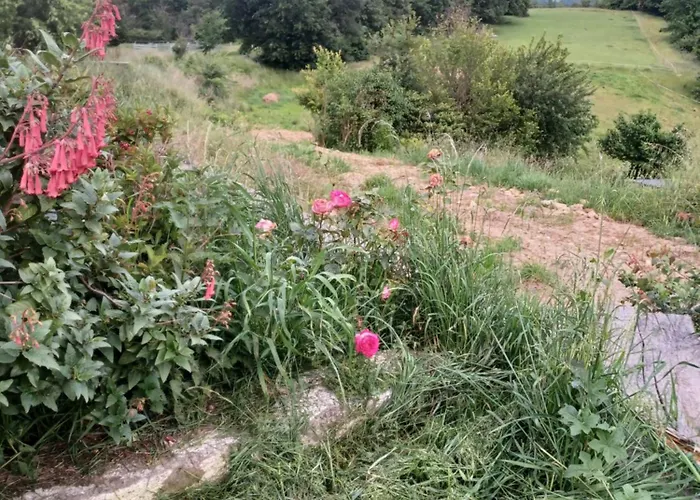 La Biste מירפואה